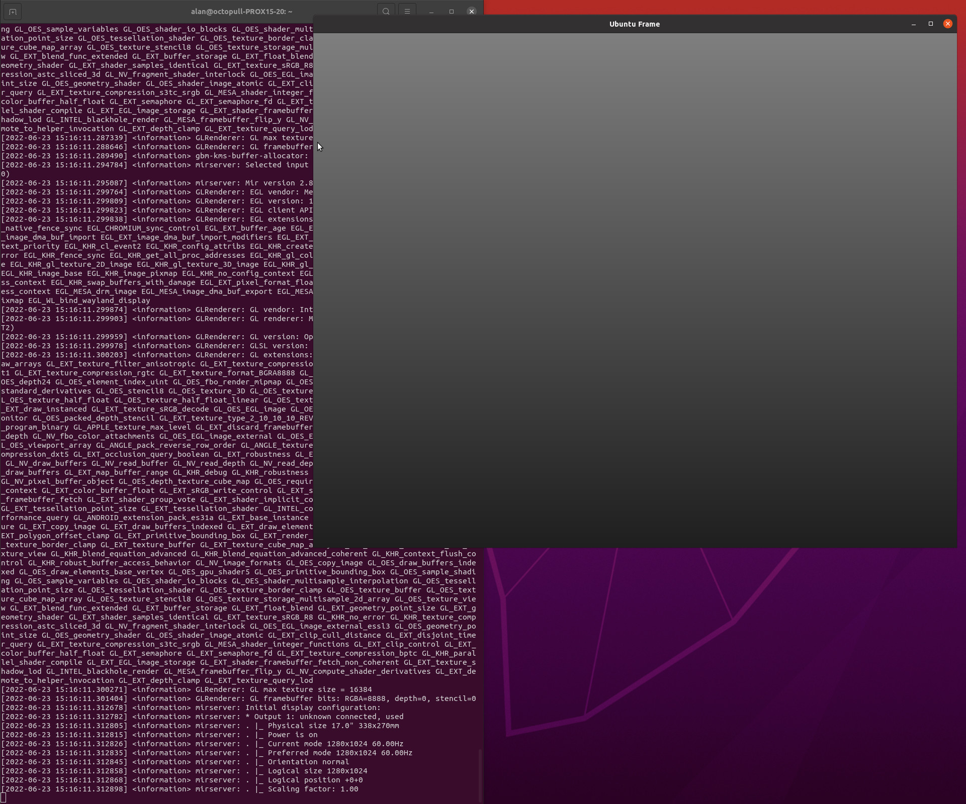 Ubuntu Frame Screen Simulator
